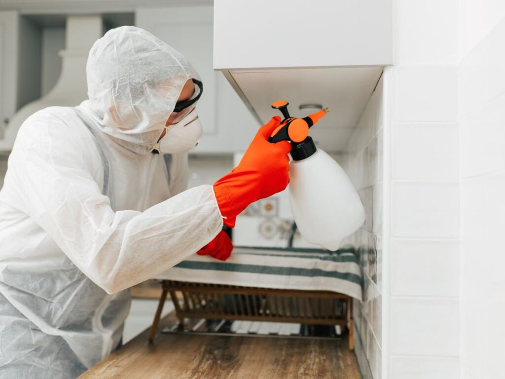 can pest control get rid of bed bugs