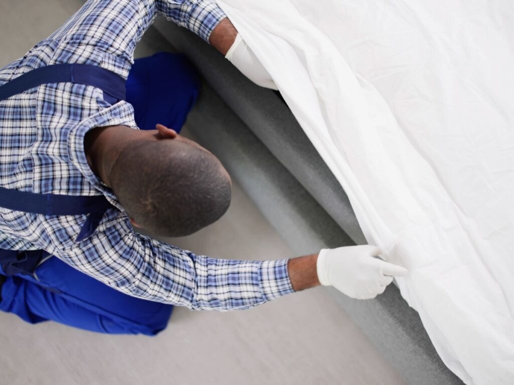 when-to-hire-rodent-removal